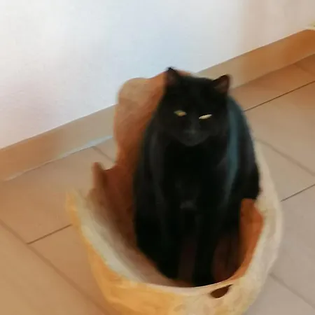 Brunners Harzerhof *