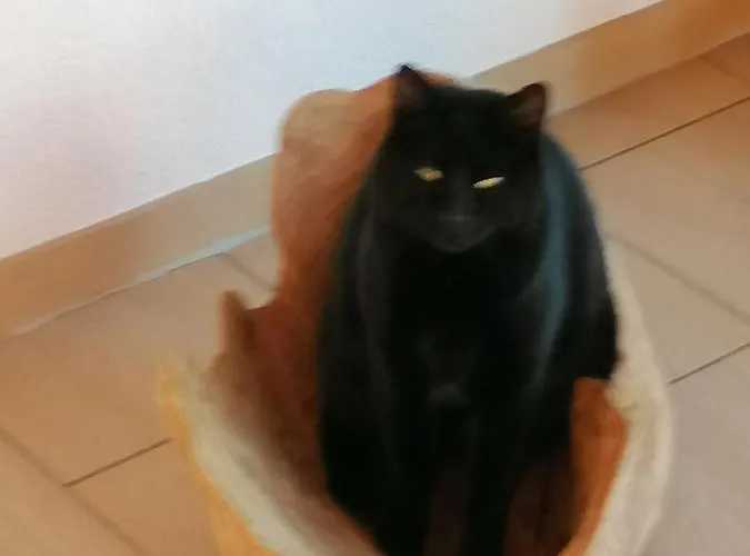 Brunners Harzerhof *