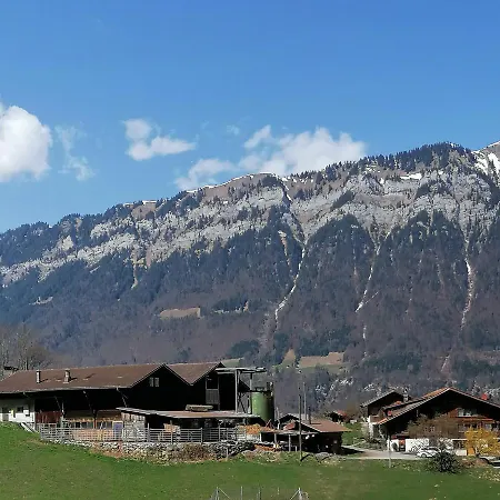 Apartment Brunners Harzerhof *
