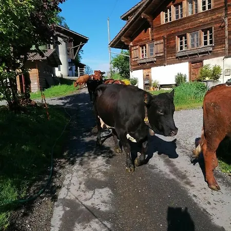 Brunners Harzerhof Iseltwald