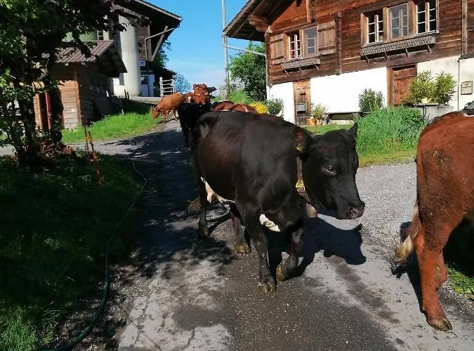 Brunners Harzerhof Iseltwald