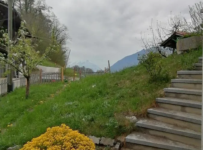 Brunners Harzerhof Apartman *